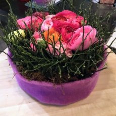 1.Di 24/2 14u Lente in de knop