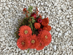 20. Rond herfst Germini
