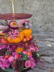 Magie van Herfst di 7/10 19.30uu Magie van Herfst