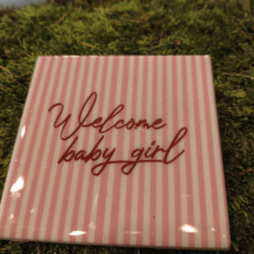 Spreuktegel Welcome baby girl
