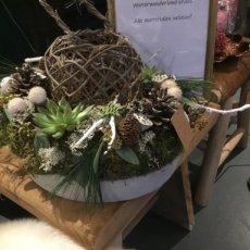 Winter wonderland di 25/11 14u